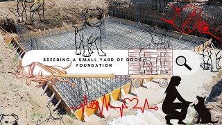 Breeding A Small Yard Of DogsFoundation [upl. by Buzz]