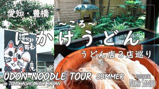 【AICHI JAPAN】UDON Noodle Tour in Toyohashi Summer [upl. by Tansey]