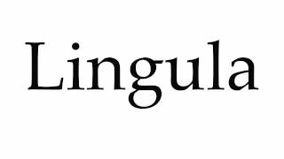 How to Pronounce Lingula [upl. by Gennifer]