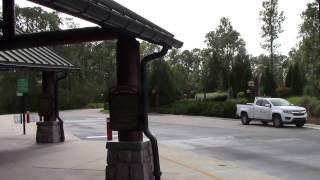 Bus Stops at Disneys Wilderness Lodge  Walt Disney World [upl. by Alyehc825]