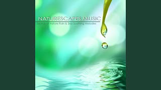 Rainforest Sounds for Spa and Massage [upl. by Davidson]