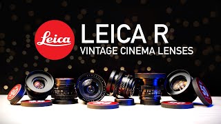 LEICA R  Vintage Cine Lenses for Filmmakers [upl. by Hamehseer]