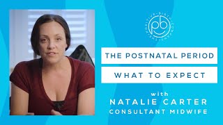 What to Expect in the Postnatal Period  FREE workshop  Midwife Advice  The Positive Birth Company [upl. by Renado]