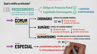 PROCESSO e PROCEDIMENTOS em PROCESSO PENAL  Aula 01  Disposições Gerais [upl. by Attenej986]