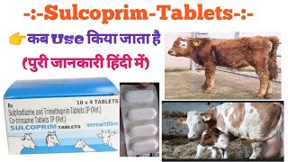 Sulcoprim tablet use in hindi जानवरों के लिए Antibiotic दवा💊 medicine medical raj pharmacyviral [upl. by Izak482]