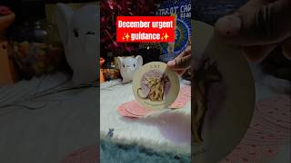 December Guidance Hindi Tarot💯🧿🕯️tarotreading shortsfeed spiritguides allsigns next30days [upl. by Uttica61]