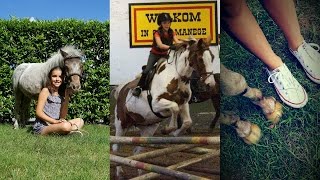 Paardrijden is geen sport het is meer dan dat  I♥horses [upl. by Subocaj]