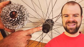 How to Remove the Cassette or Freewheel from Bike Wheels [upl. by Tryck661]