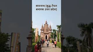 Sarnath temple sarnath varanasi viral  video uttarpradesh bauddha [upl. by Aneekat]