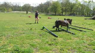 Spring Cavaletti Training hier an Doppellonge [upl. by Aimo]