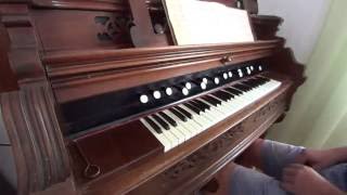 European Harmonium vs American Reed Organ M G Fischer  Risoluto [upl. by Johnny987]