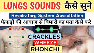 Lungs sound explained in Hindi  Normal amp Abnormal  wheeze Rhonchi Rub crackles use headphones [upl. by Aerda]