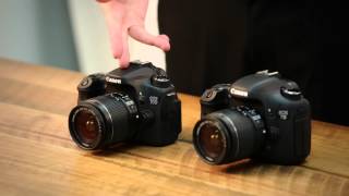 Canon EOS 70D vs Canon EOS 7D Comparison [upl. by Annissa]