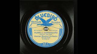 Pajarillo Barranqueño  Mexican Bluebird Orchestra [upl. by Yral]