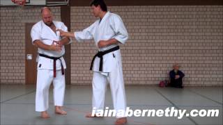 Practical Kata Bunkai Pinan  Heian Yodan ArmLock [upl. by Strader571]