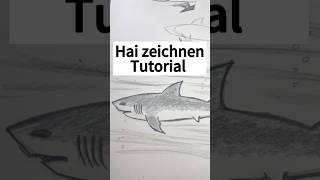 Hai Zeichnen Tutorial  Lass uns gemeinsam zeichnen zeichnen zeichenidee zeichnenlernen [upl. by Lisan]