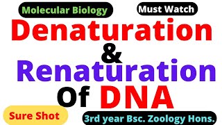 Denaturation and Renaturation of DNA ll Melting Temperature Tm ll DNA denaturation [upl. by Tnahsarp]