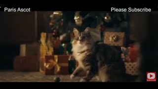 Waitrose Christmas Advert 2024 Sweet Suspicion A Waitrose Mystery PLEASE SUBSCRIBE Paris Ascot [upl. by Hagen800]