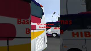 busmania buspariwisata bismania busid basuri [upl. by Walkling]