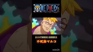 ONE PIECE白ひげ海賊団1番隊隊長不死鳥マルコONEPIECEshorts 百獣海賊団 不死鳥マルコmadmad [upl. by Ohara]