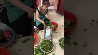 Stainless Steel Vegetable Chopper stuffing cuttingvegetable cuttingmachine viralvideo shorts [upl. by Noiek]