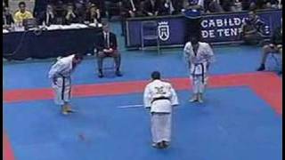 Shotokan Gankaku Bunkai Equipo de Italia [upl. by Lethia]