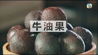 【廚神到你家】煮場爭霸｜ 自製牛油果油 ｜Ricky｜保哥 [upl. by Midan638]