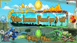 Dofus Quêtes Incarnam secondaire Partie 1  Succers  Poussé par le vent [upl. by Aiket]