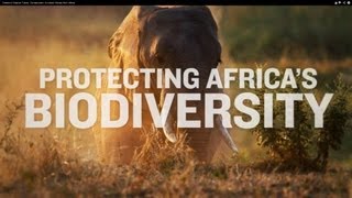 Toward a Greener Future Conservation Success Stories from Africa [upl. by Burkley]