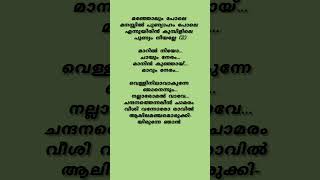 Muthe muthe❤️trending malayalamsonglyrics shorts lyrics [upl. by Wehhtam]