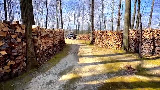 Helping A Buddy Put Up An Entire Winters Worth Of Wood [upl. by Harlamert41]