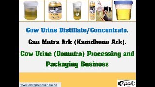 Cow Urine DistillateConcentrate  Gau Mutra Ark Kamdhenu Ark [upl. by Eitten338]