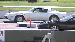 1981 turbo trans am pace car [upl. by Jody469]