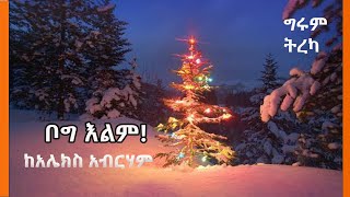 ቦግ እልም  ከአሌክስ አብርሃም Alex Abrham  ግሩም ትረካ [upl. by Bergerac]