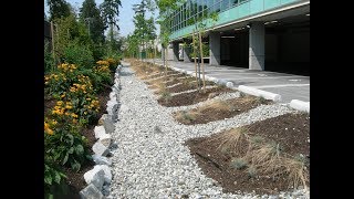 Innovative Stormwater Management at the Property Scale [upl. by Alidus]