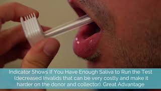 How to Use a SalivaConfirm® Oral Drug Test [upl. by Isteb]