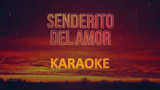 Lisandro Meza Senderito del amor  Karaoke Pista Musical [upl. by Ondrej]