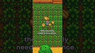 There’s a Stardew Crop That Makes You LOSE Money [upl. by Alyk]