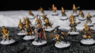 Painting a Warband  21 Miniatures for Frostgrave in 2 Days [upl. by Ojimmas]