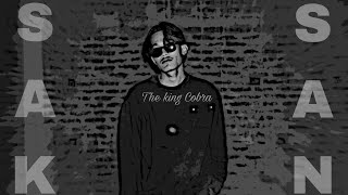 The King Cobra Saksan  audiomusic [upl. by Os]