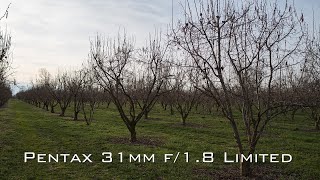 Full review HD PENTAXFA 31mmF18 Limited [upl. by Tama]