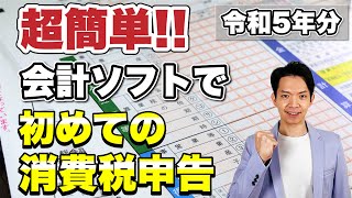 【2024年3月期限】今年はじめて消費税の申告を行う人向けに消費税の申告方法とfreeeの「消費税申告ライト」を利用した消費税申告書の作成方法を解説 [upl. by Noral]