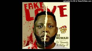 DJ Ngwazi  Fake Love Feat Dr Tawanda amp Nelcy B [upl. by Sacken]