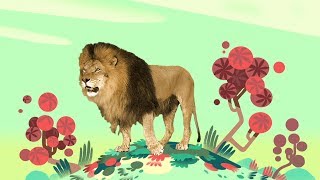 Animal Songs quotYou Gotta Love a Lionquot by StoryBots  Netflix Jr [upl. by Amiaj]