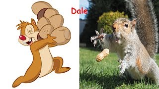 Chip And Dale In Real Life  Disney Cartoon In Real Life [upl. by Enetsirk]