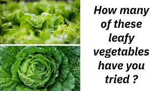 Calling All Salad Enthusiasts Test Your Knowledge of Leafy Greens in this Tricky Quiz leafygreens [upl. by Fezoj307]