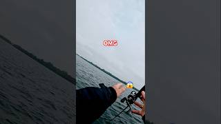 Schock 😱 Fisch reißt Angelrute ins Wasser fishing angeln omg [upl. by Ytissahc]