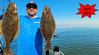 Amazing Action to Start my Fishing Season 🔥🔥 SF Bay Halibut [upl. by Durgy]