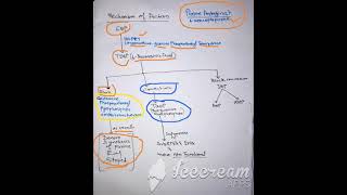 6 mercaptopurine mechanism of action [upl. by Akimihs]