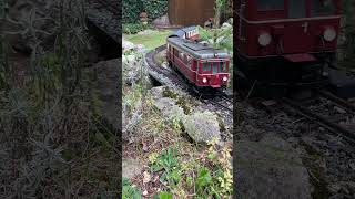 train lgbtrains lgb trainspotting gardenrailway spurg railway gartenbahn HSB shorts [upl. by Ced]